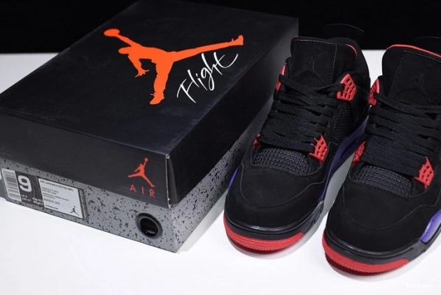 Reps TBkick 4 Retro NRG Jordan AQ3816-065 Raptors